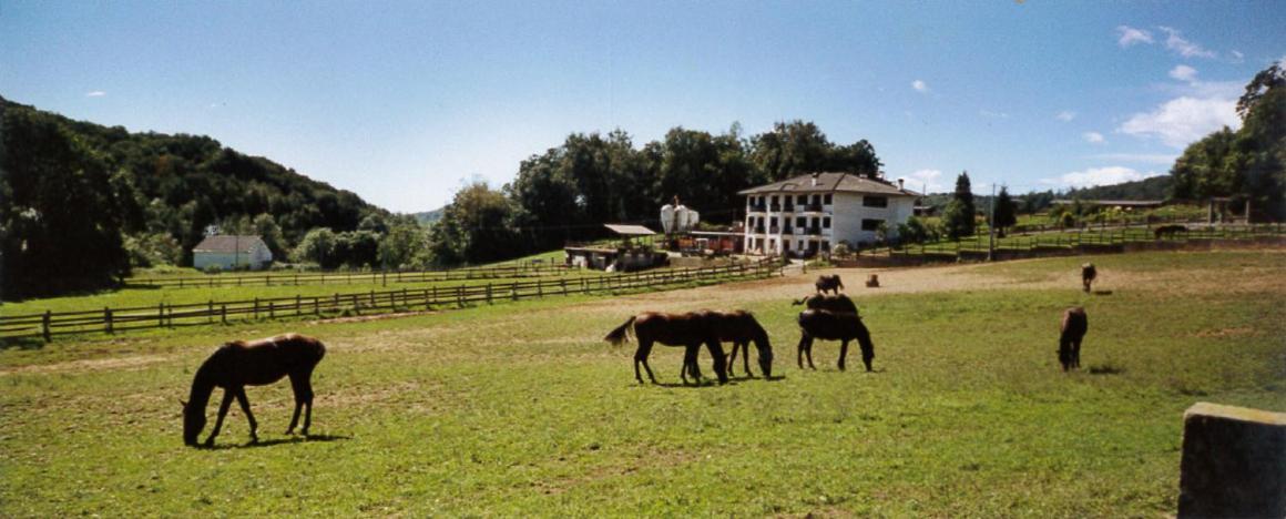 Rueglio Favetto Family Ranch B&B 외부 사진